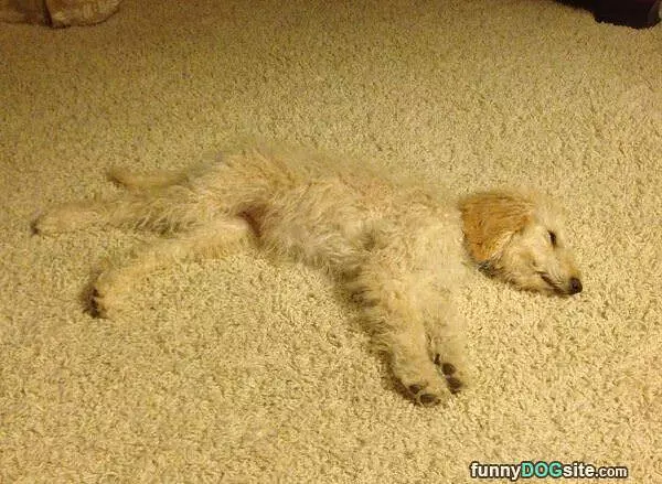 Blended In