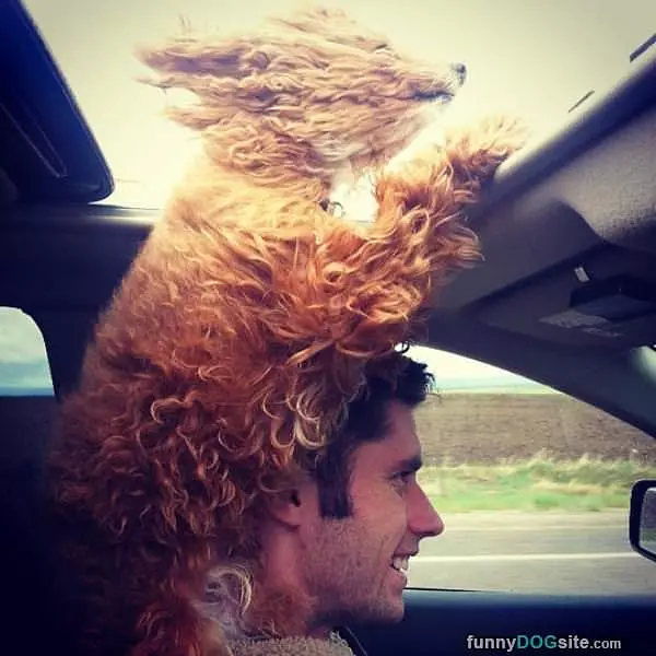Ride Human Ride