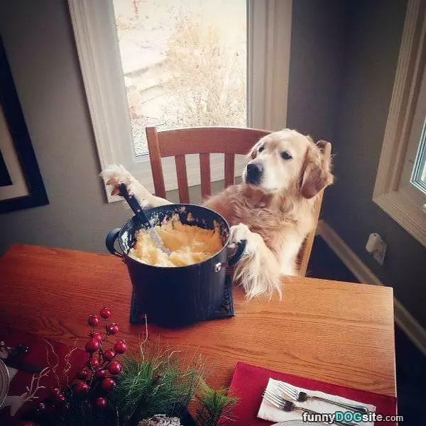 Making Mashed Potatos