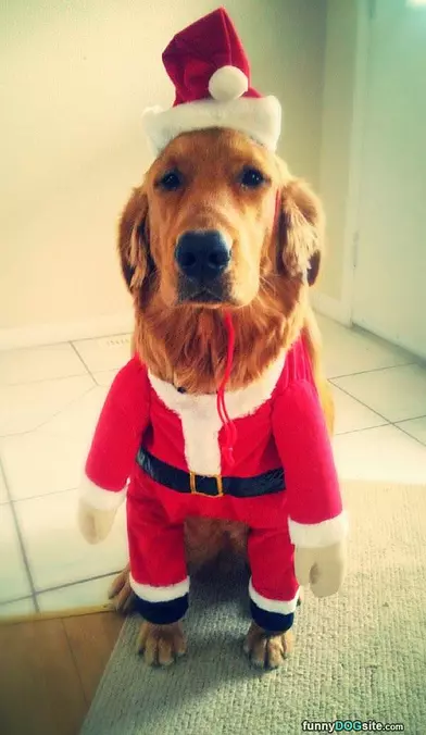 Go Santa