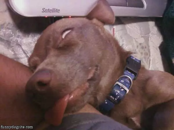 How I Sleep