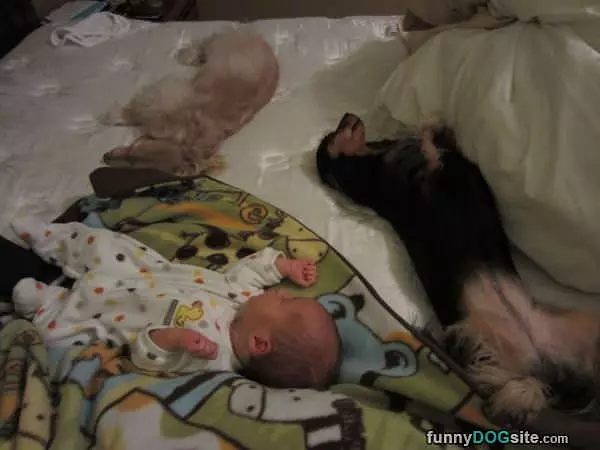 Everyone Loves Nap Time