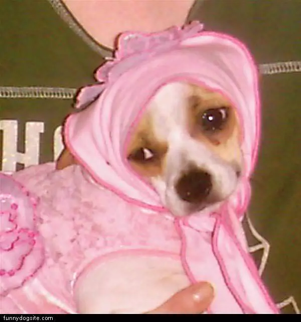 Pinky