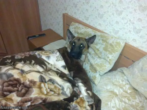 Taking Me A Nap