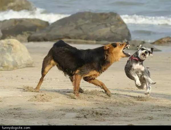 Get Away From Me
