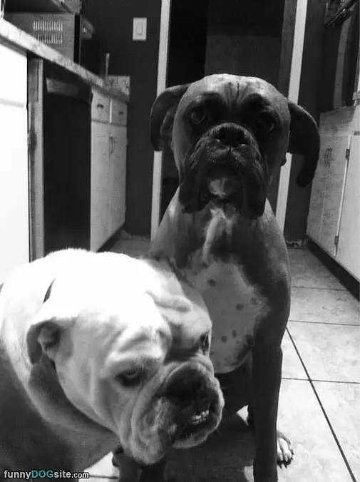 Me And My Bud