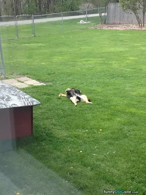 So Super Relaxing