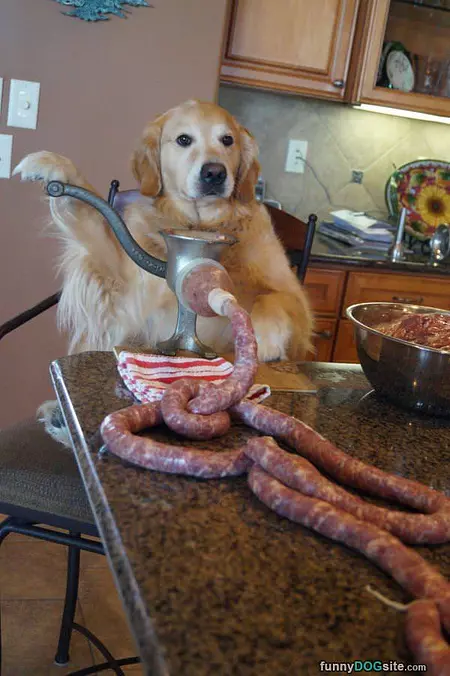 Making Sausage