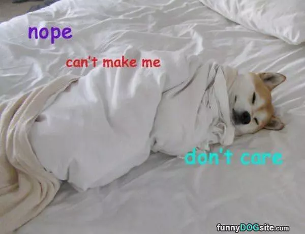 Nope Cant Make It