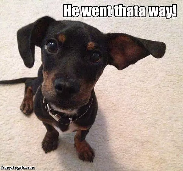 He Went Thata Way
