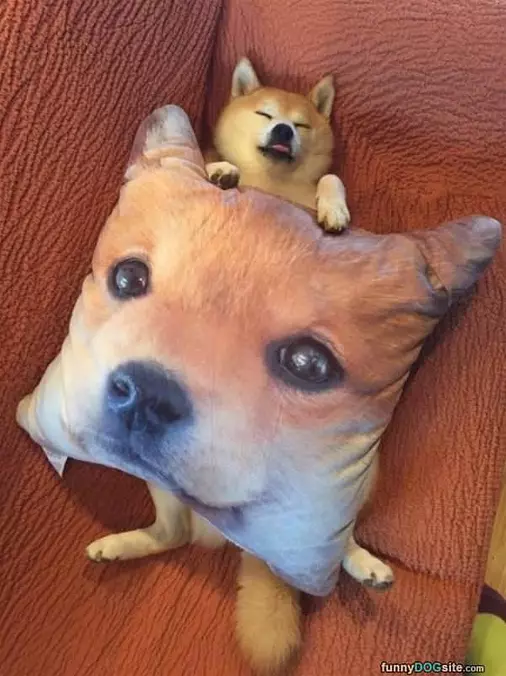 Under The Pillows