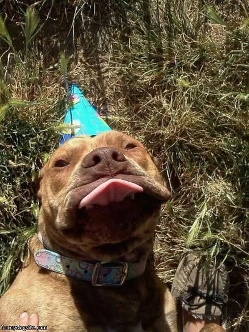 The Birthday Tongue