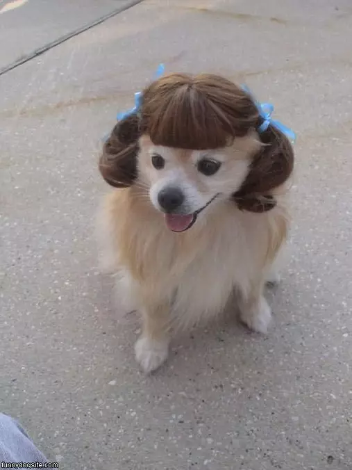 Nice Wig