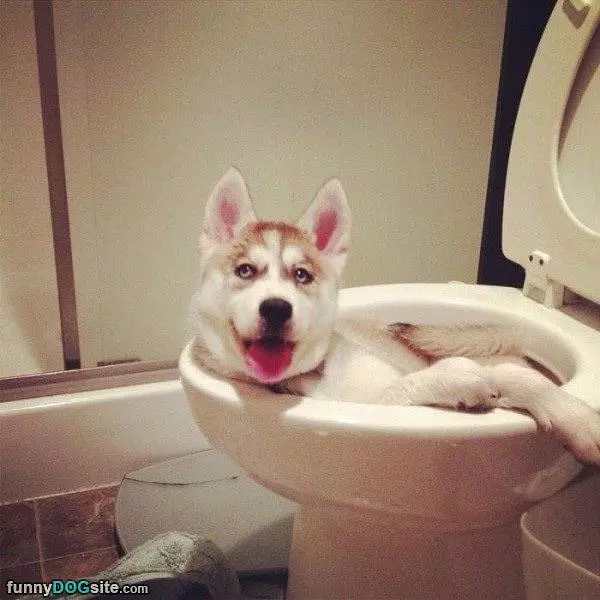 Cooling Off In Here
