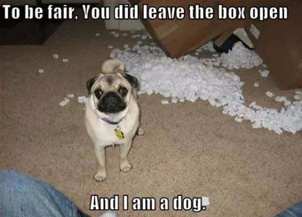 To Be Fair