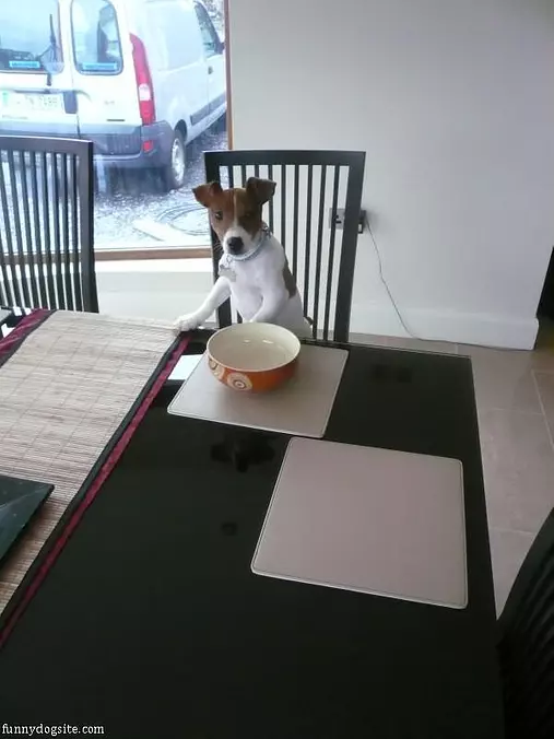 Ted Wants Dinner