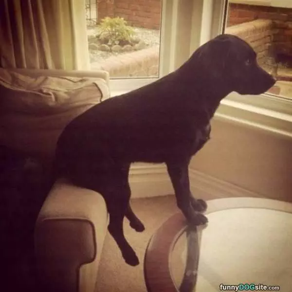 I Sits Where I Sits