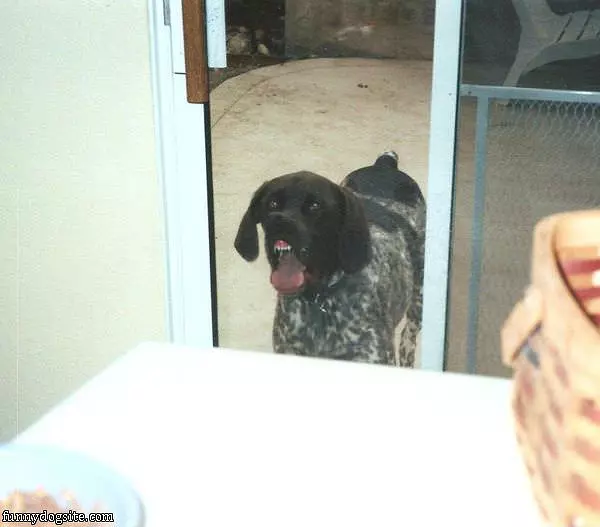 Pepper Funny Face