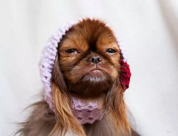 Yo