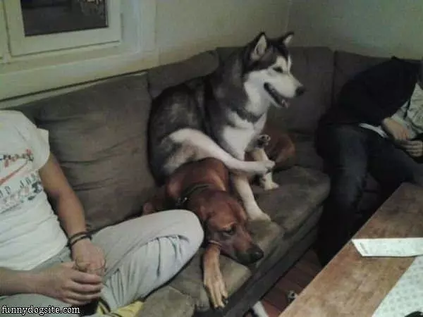 Enjoying The Couch