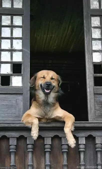 You Are Funny