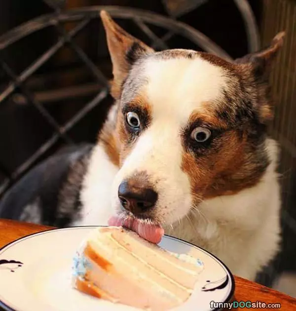 This Is Awwwwssssommee