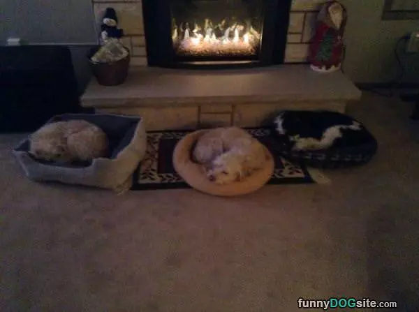 Nice Warm Fire