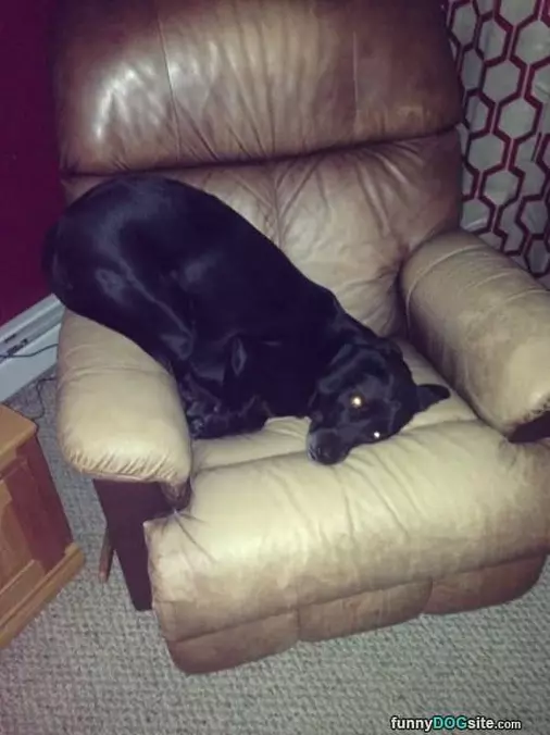 I Sits How I Want