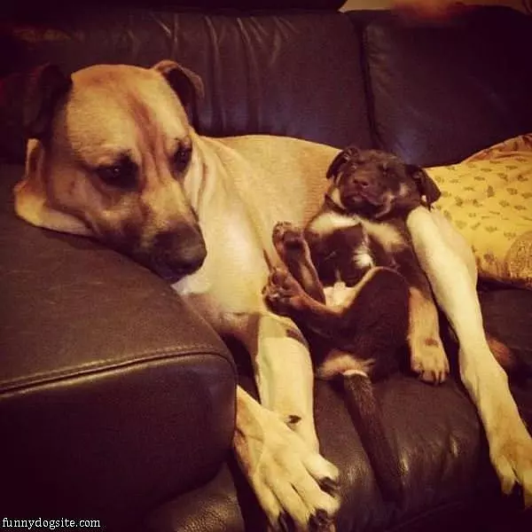 Found A Comfy Place