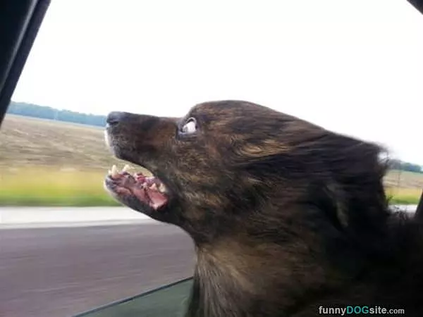 Go Faster Faster