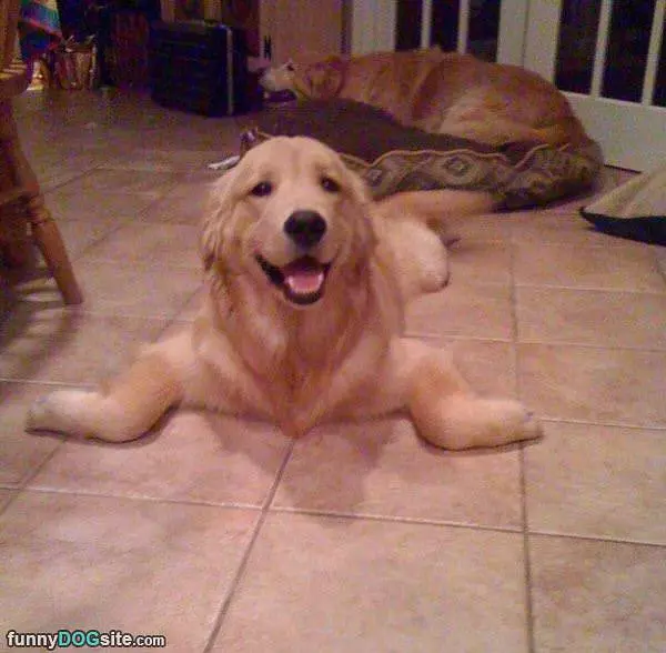 I Sits How I Sits