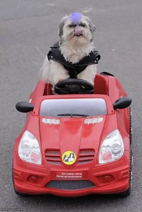 Take You For A Drive