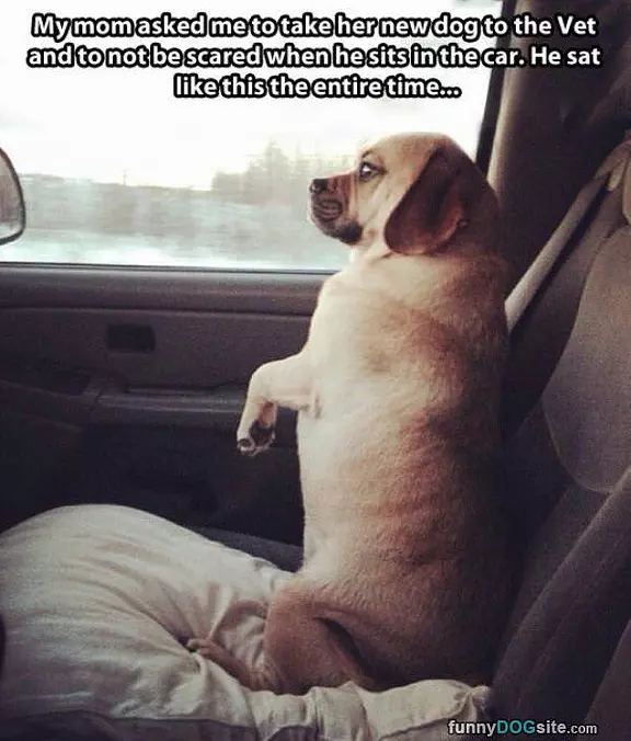 Going For A Ride