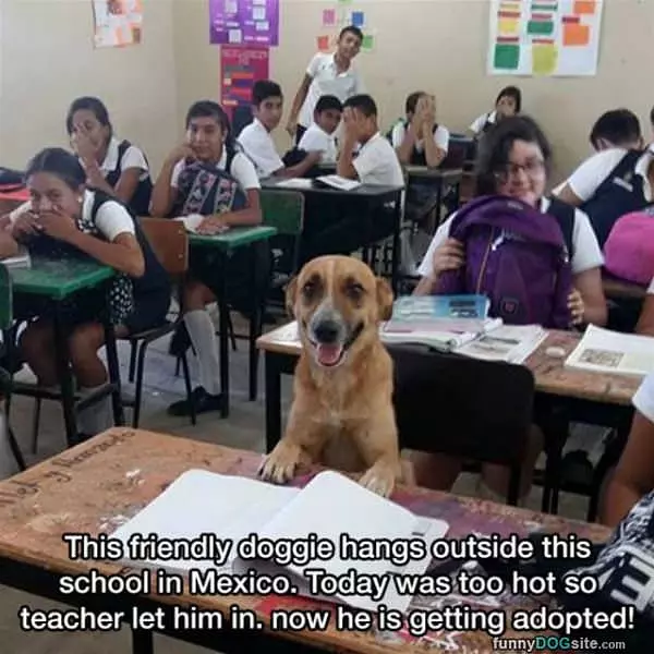 Hanging Out In School
