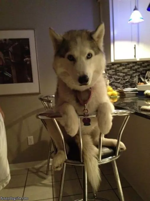 Sit Where I Want