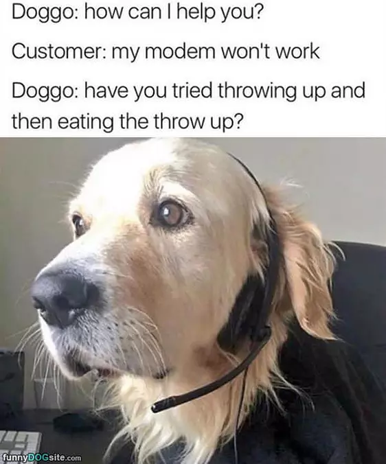 But Have You Tried