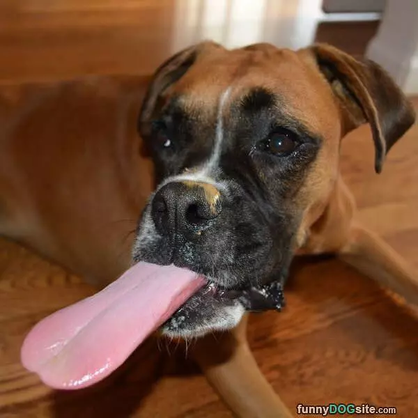 Long Tongue