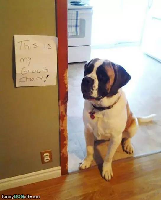 This Is My Growth Chart