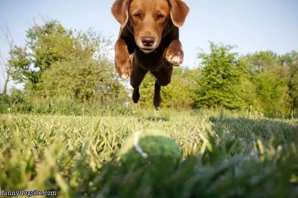 I Got You Ball