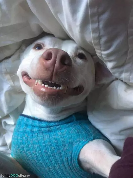 Taking A Selfie