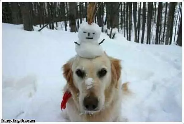 Snowman Head