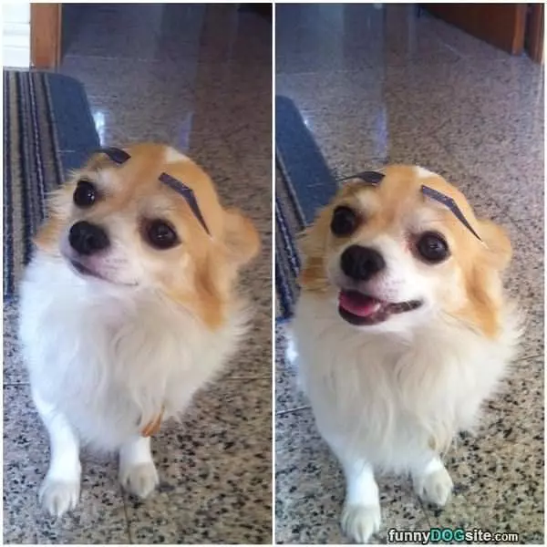 Nice Eyebrows