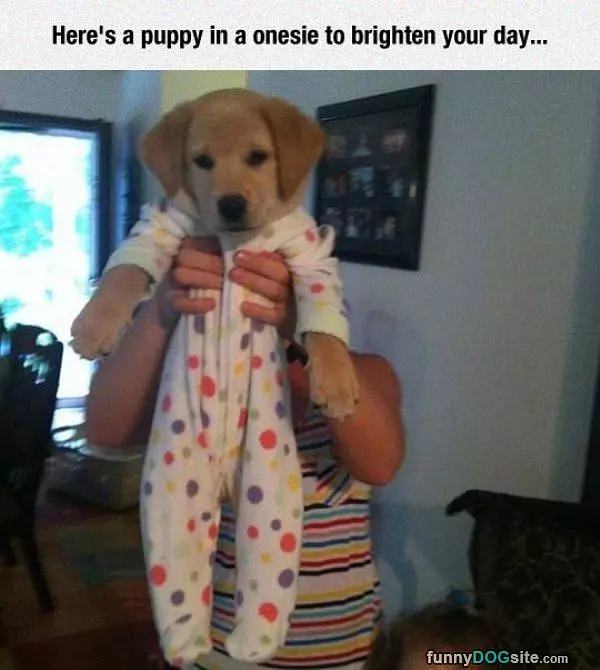 Onesie Puppy