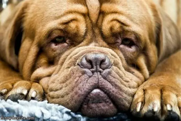 So Tired