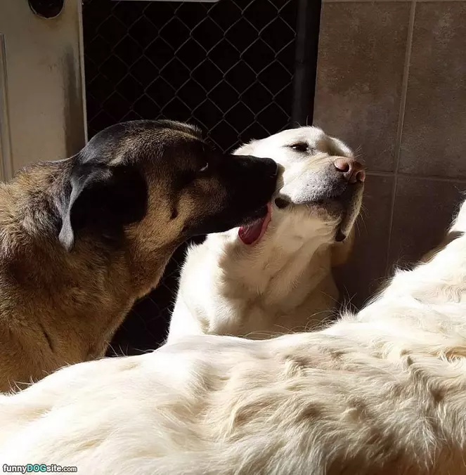 Cleaning Your Face