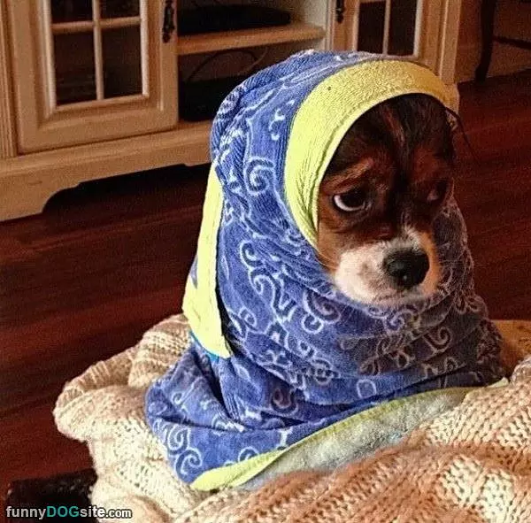 Ok I Am Warm Now