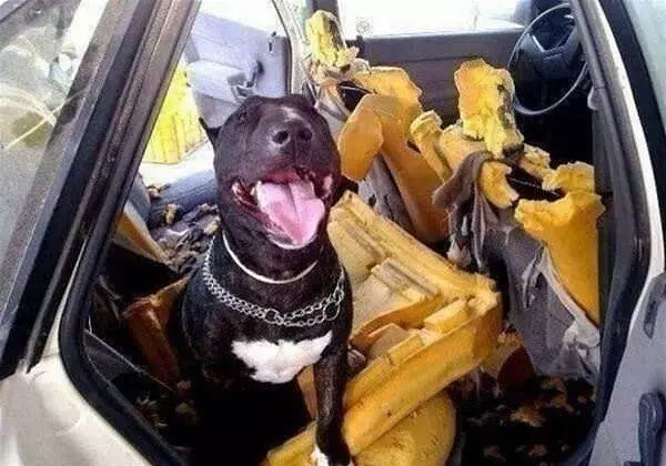 I Messed Up The Car