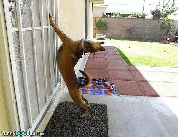 Let Me Innnnn