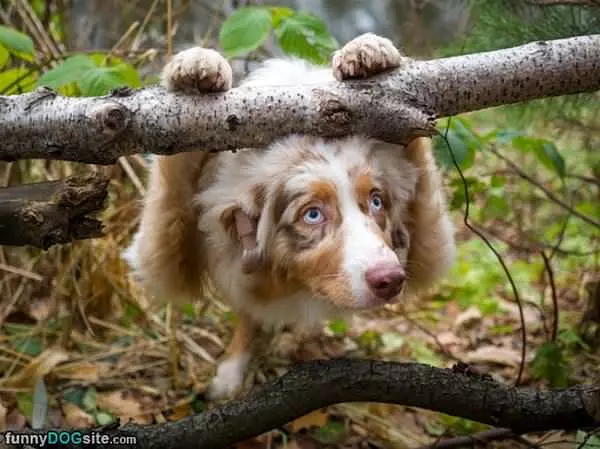 Hey There Little Guy