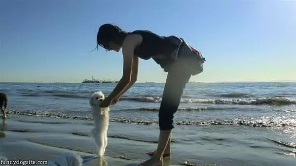 Day At The Beach